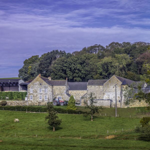 Ferme d'Argenteau - hameau de Lizin