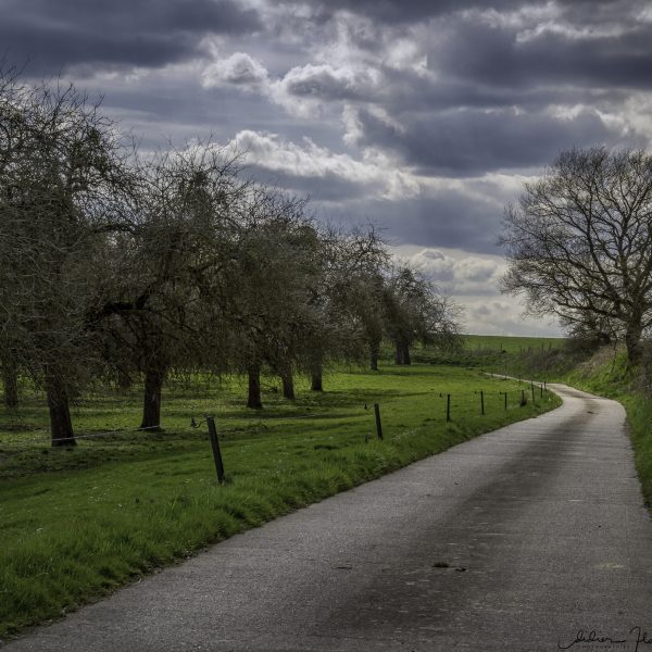 Route de campagne